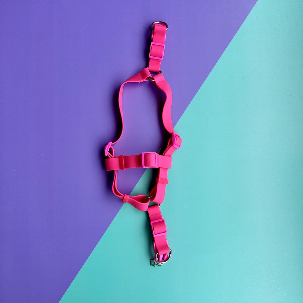 Arnés para perros en goma impermeable fucsia sin correa