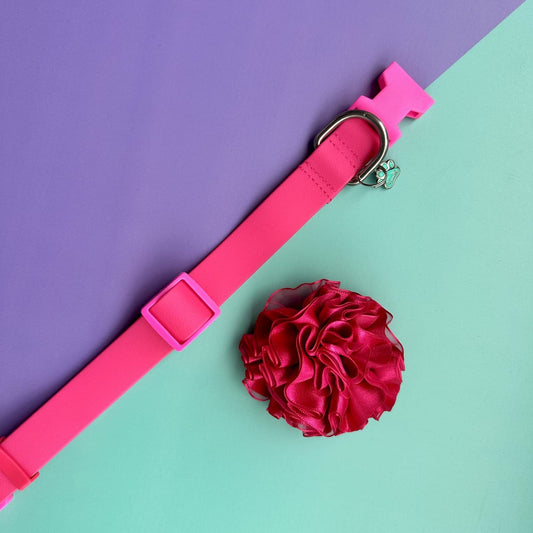 Collar para perros en goma impermeable fucsia con flor tul fucsia oscuro