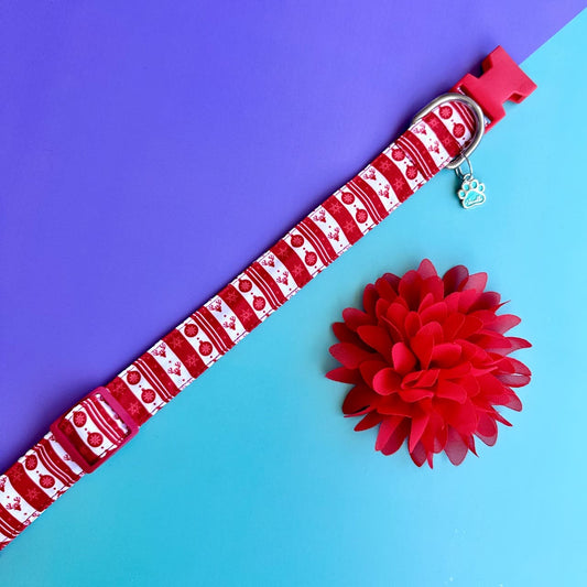 Collar para perros con flor seda de Navidad clásica