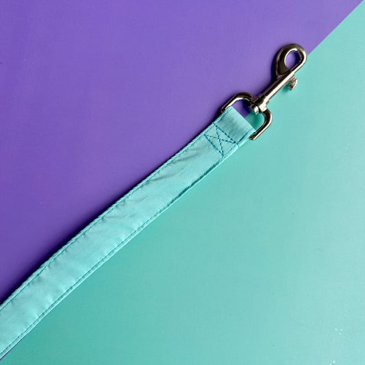 Correa para perros aguamarina