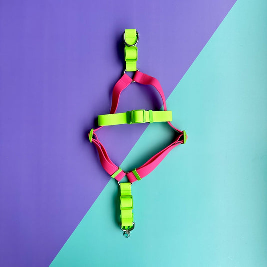 Arnés para perros en goma impermeable fucsia y verde neón con correa