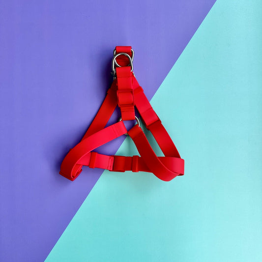 Arnés para perros en goma impermeable rojo con correa