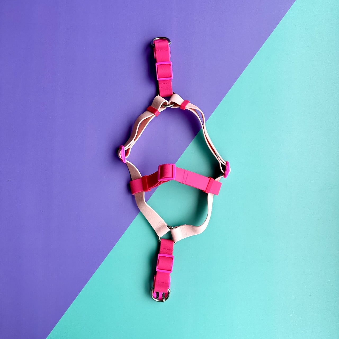 Arnés para perros en goma impermeable rosado y fucsia sin correa
