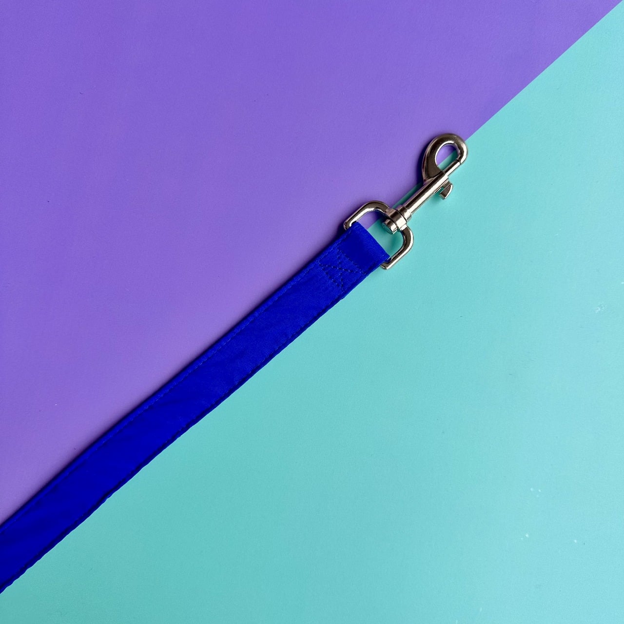 Pechera para perros con correa azul rey