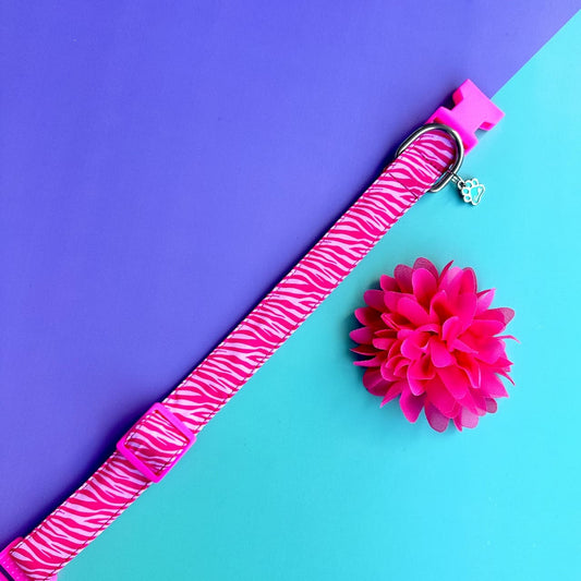 Collar para perros con flor seda - Cebra fucsia