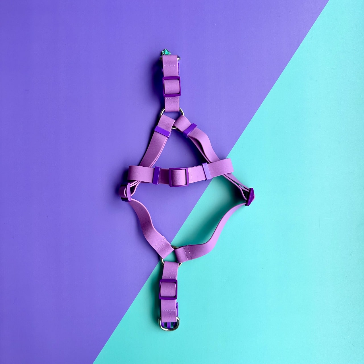 Arnés para perros en goma impermeable lila sin correa