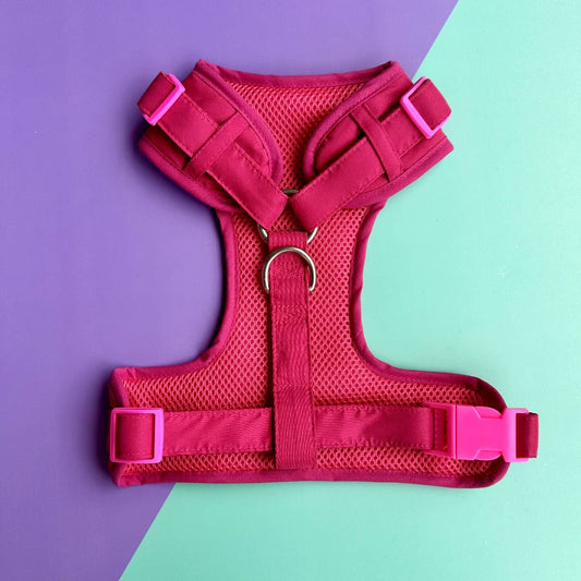 Pechera para perros sin correa fucsia