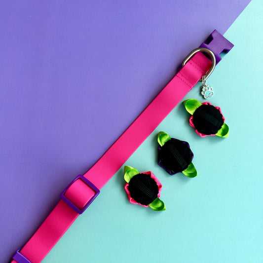 Collar para perros en goma impermeable fucsia y morado con rosas