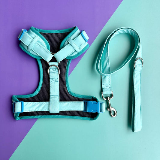 Pechera para perros con correa aguamarina