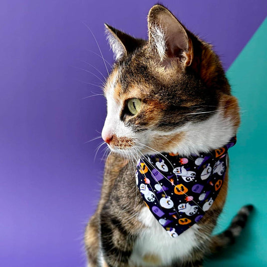 Pañoleta para gatos Halloween fantasmas