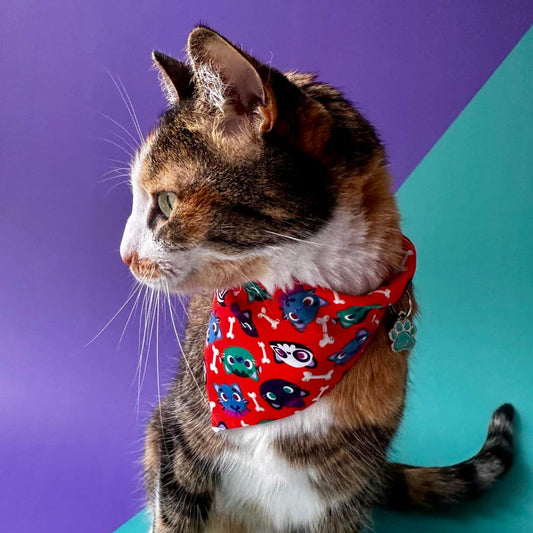 Pañoleta para gatos Halloween gatuno naranja