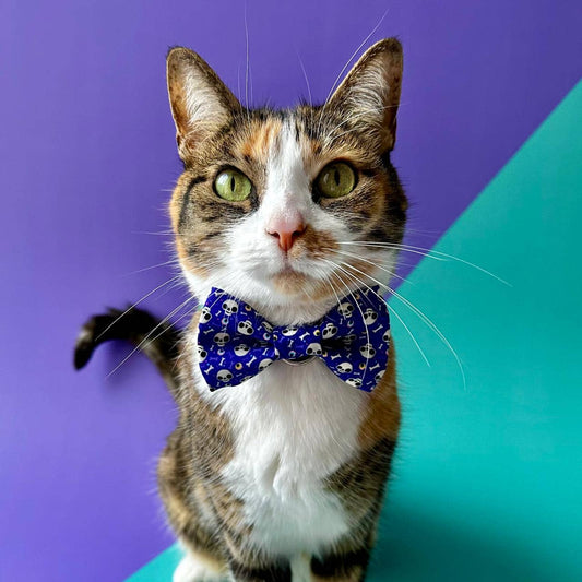 Corbatín para gatos Halloween calaveras