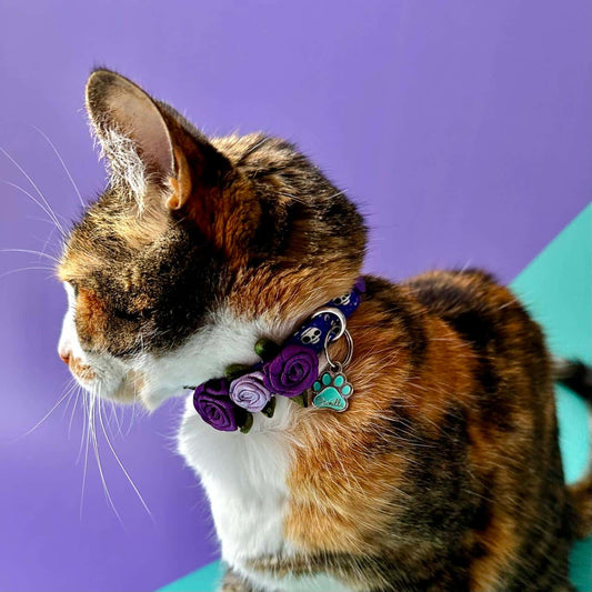 Collar para gatos con rosas Halloween calaveras