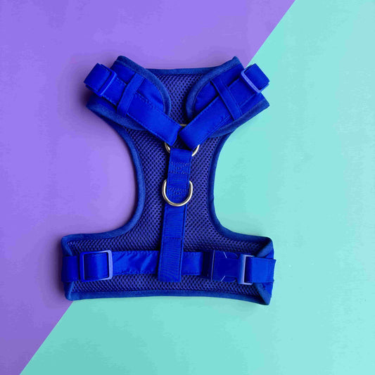 Pechera para perros sin correa azul rey