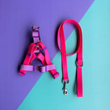Arnés para perros en goma impermeable step in fucsia y lila con correa