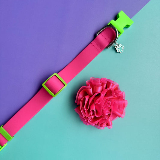 Collar para perros en goma impermeable fucsia y verde neón con flor tul fucsia neón