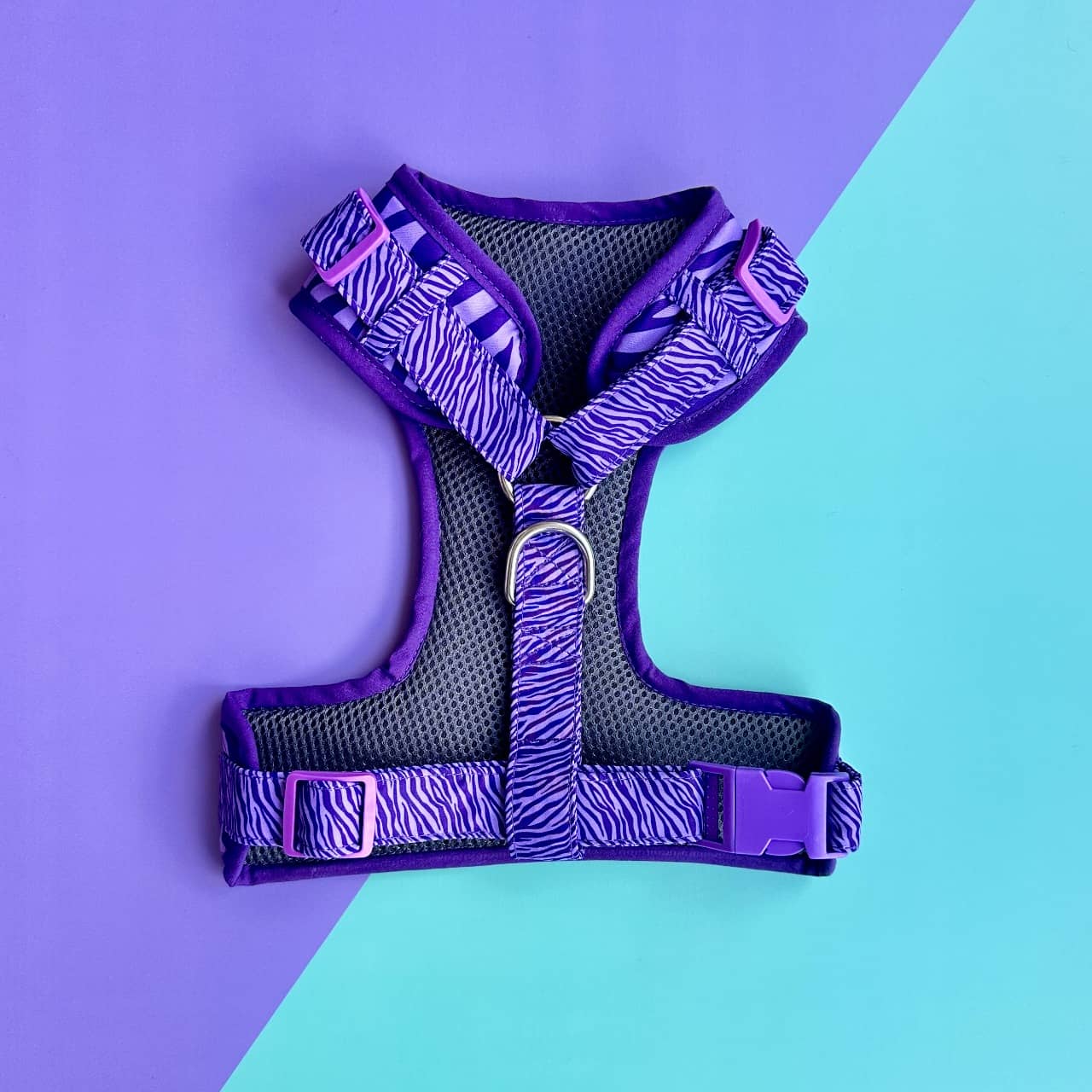 Pechera para perros sin correa Cebra lila