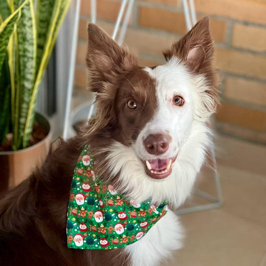 Pañoleta para perros de Navidad magia navideña