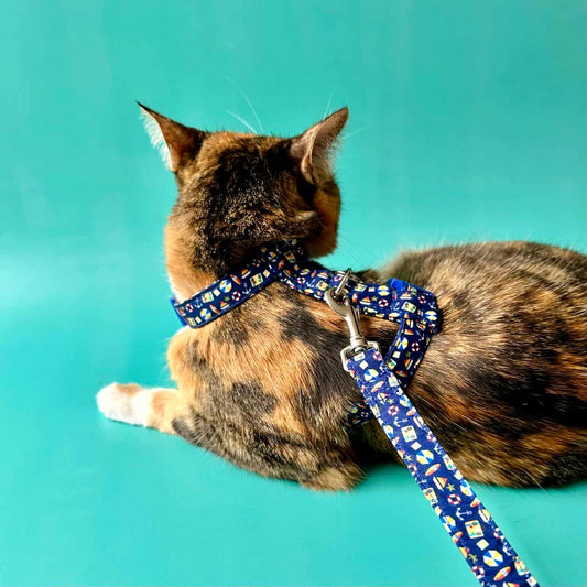 Arnés para gatos con correa Playa