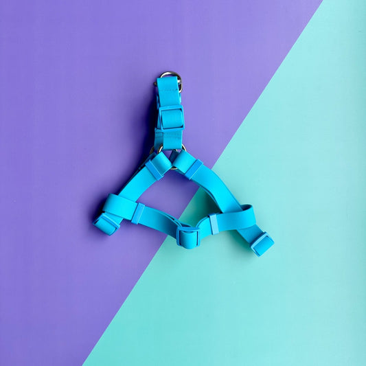 Arnés para perros en goma impermeable azul con correa