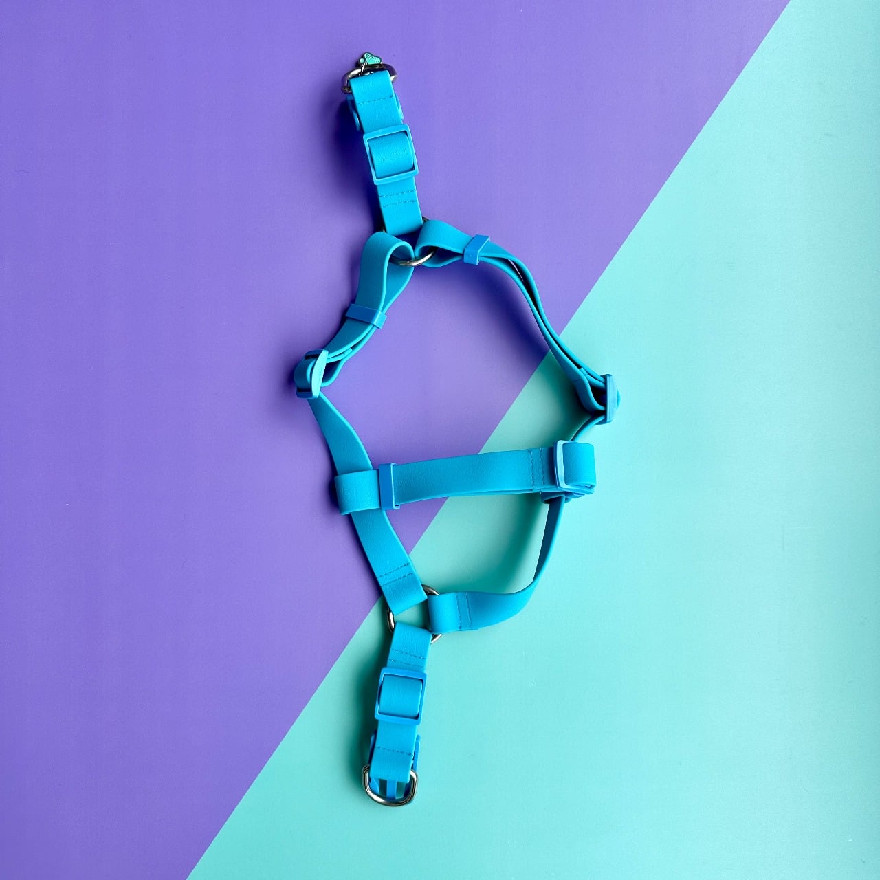 Arnés para perros en goma impermeable azul con correa