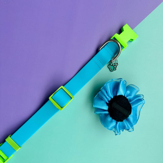 Collar para perros en goma impermeable turquesa y verde neón con flor tul