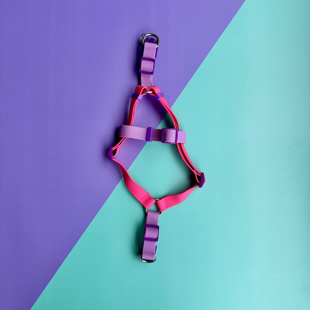 Arnés para perros en goma impermeable fucsia y lila sin correa