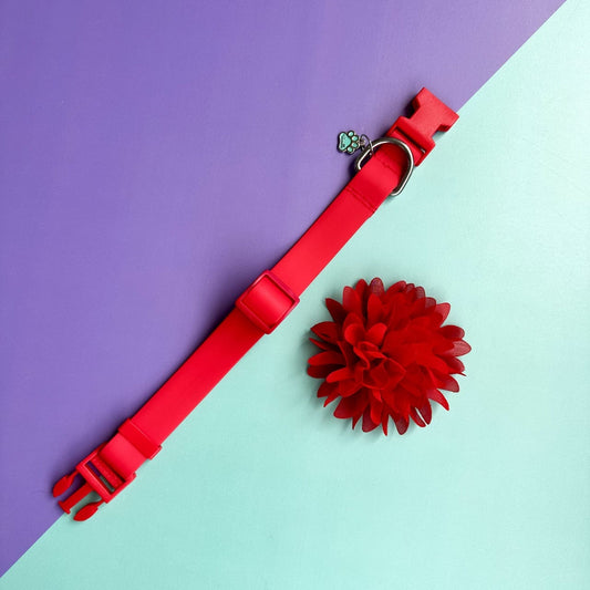 Collar para perros en goma rojo con flor seda