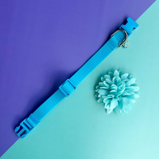Collar para perros en goma turquesa con flor seda