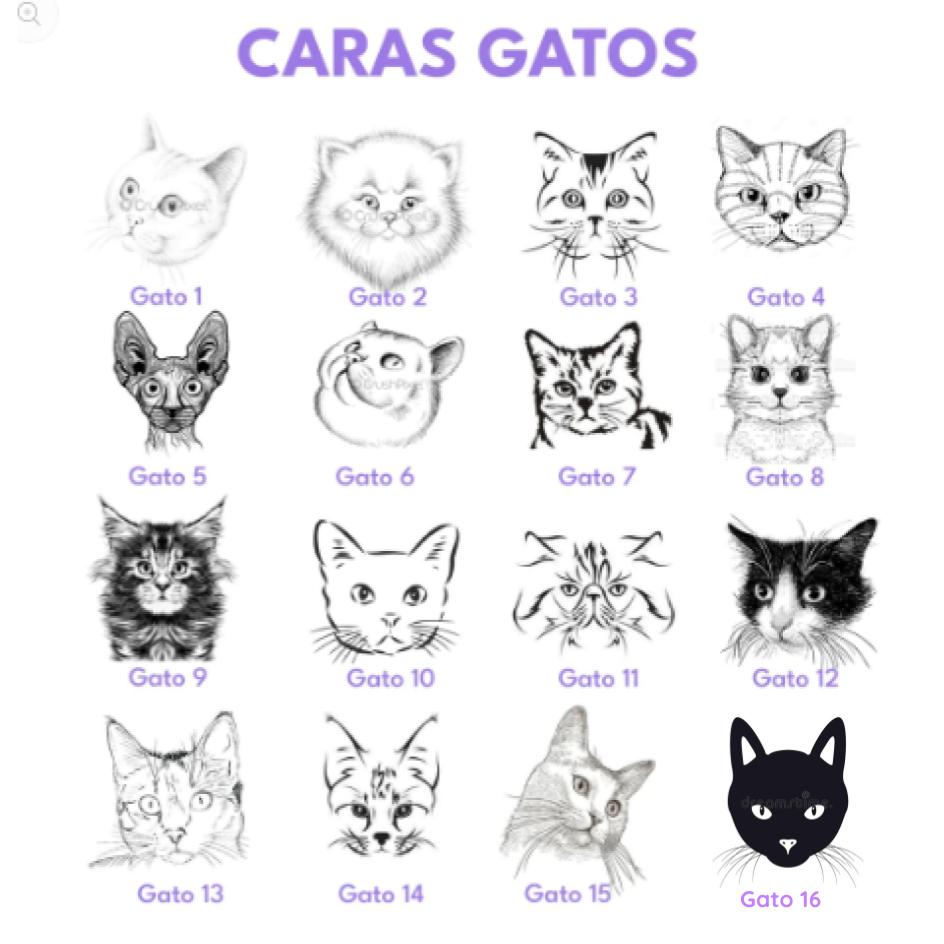 Placa de identificación para gatos en acero porta collar XXS/XS (REF: PET ID S)