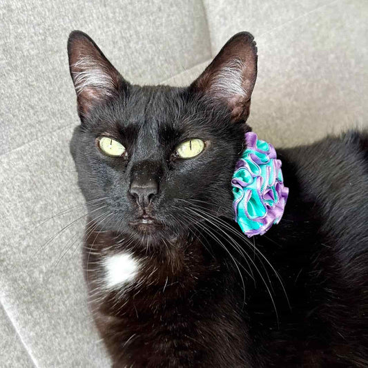 Collar para gatos con flor bicolor aguamarina y lila - Animal print