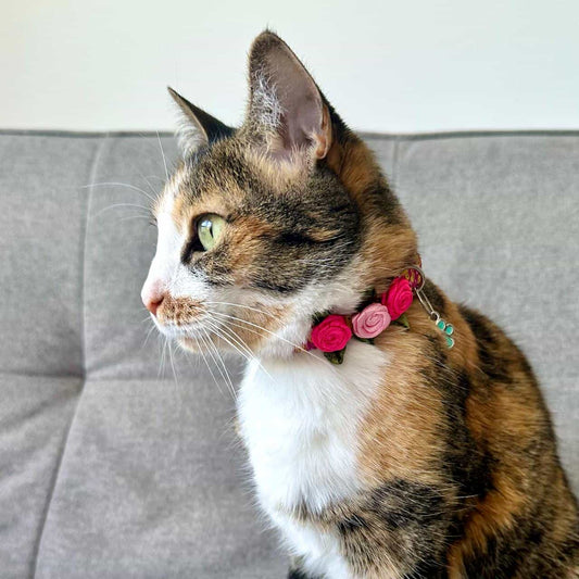 Collar para gatos con rosas fucsia 3