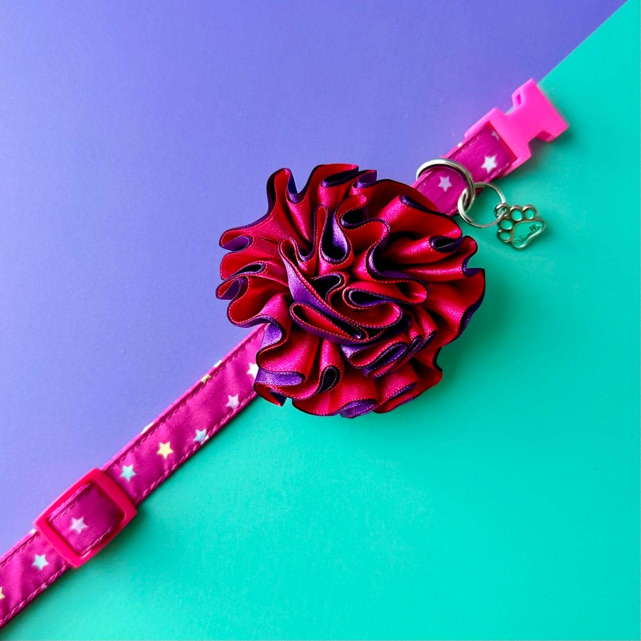 Collar para perros con flor bicolor fucsia y morado - Estrellas
