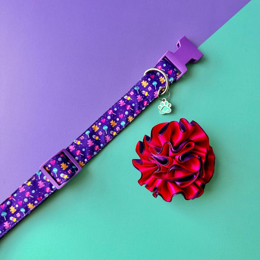 Collar para perros con flor bicolor fucsia y morada - Candy
