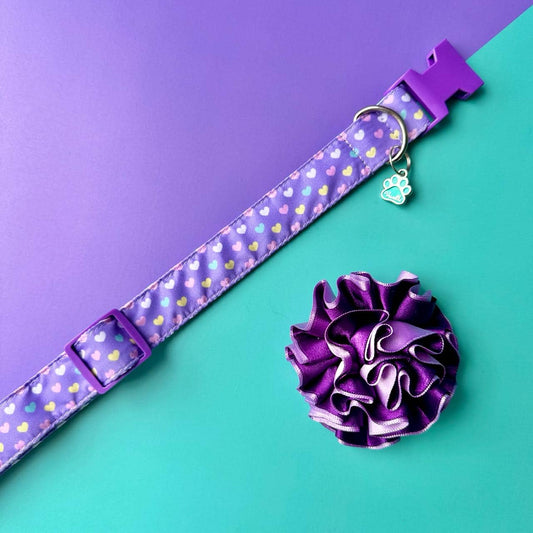 Collar para perros con flor bicolor morado y lila - Corazones