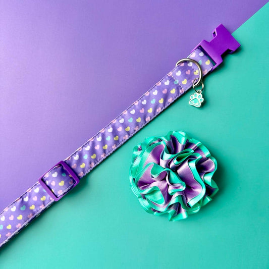 Collar para perros con flor bicolor aguamarina y lila - Corazones