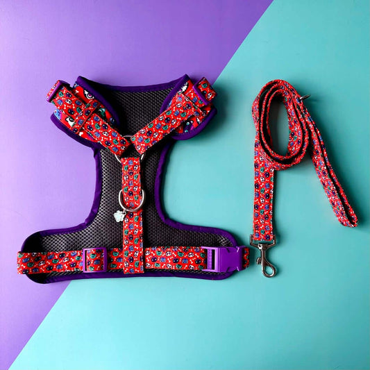 Pechera para perros con correa Halloween gatuno