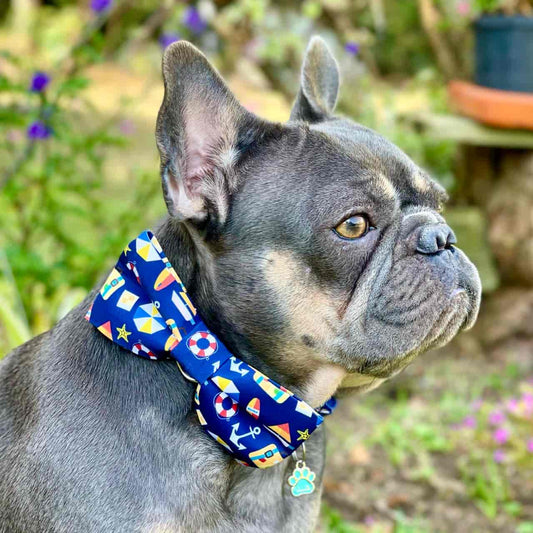 Corbatín para perros Playa
