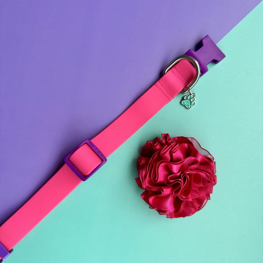 Collar para perros en goma impermeable fucsia y morado con flor tul fucsia oscuro