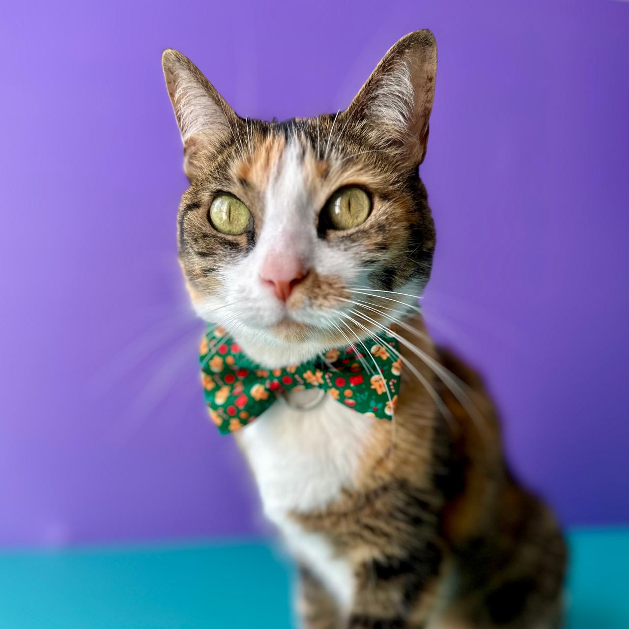 Corbatín para gatos de Navidad Galletas
