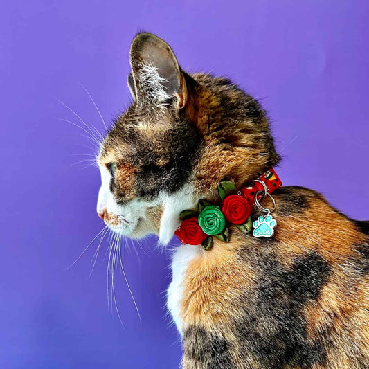 Collar para gatos con rosas Navidad Galletas