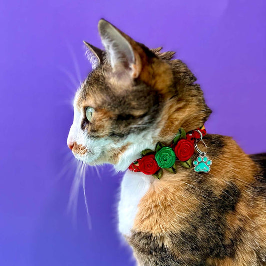 Collar para gatos con rosas Navidad Papá Noél