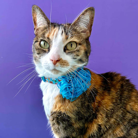 Collar para gatos con flor tul de Navidad Magia Polar azul