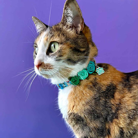 Collar para gatos con rosas Navidad Magia Polar azul