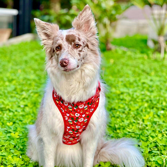 Pechera para perros con correa de Navidad Papá Noél