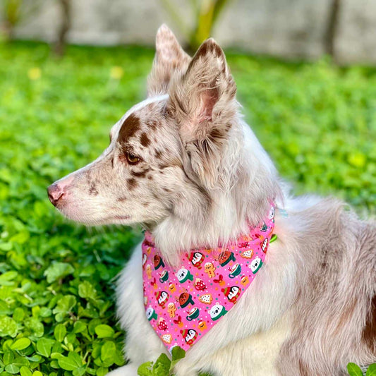 Pañoleta para perros de Navidad Magia Polar rosa