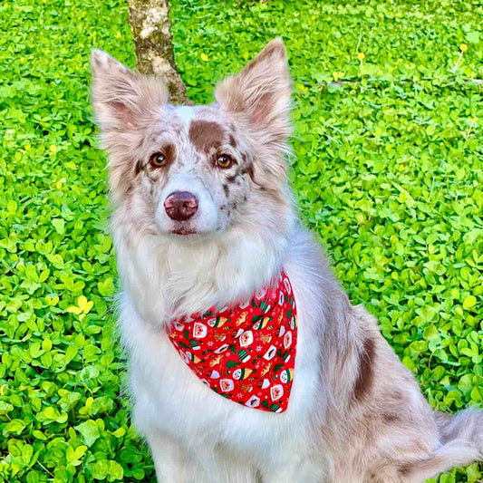Pañoleta para perros de Navidad Papá Noél