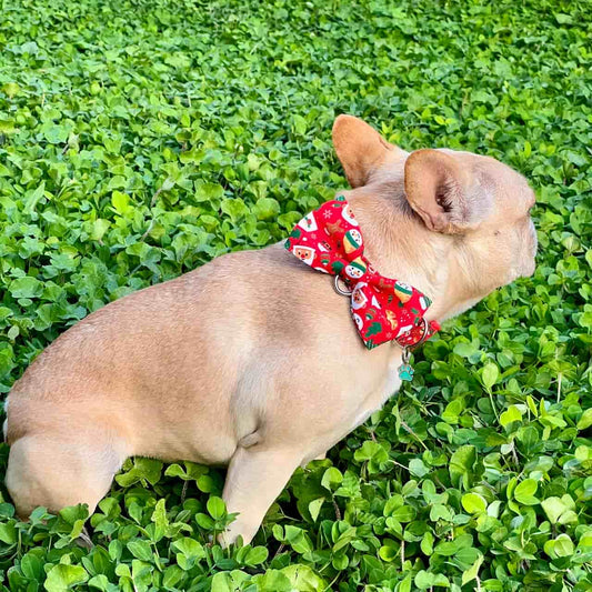 Corbatín para perros de Navidad Papá Noél