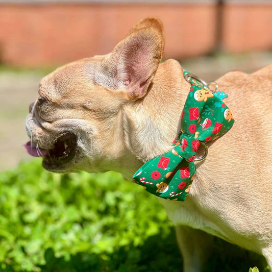 Corbatín para perros de Navidad Galletas
