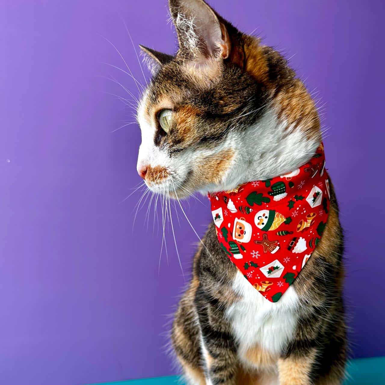 Pañoleta para gatos de Navidad Papá Noél